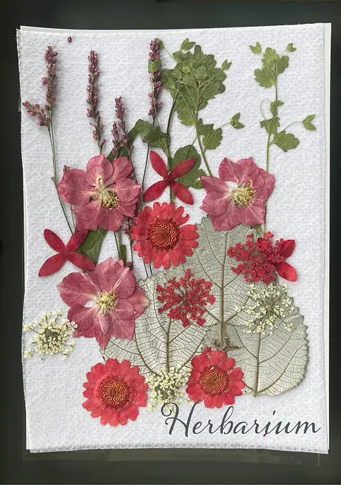 H019 Dried Pressed Flowers and Leaves for Resin, 24psc.