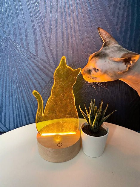 Modell Nr. 266 Eine Katze zum Herstellen einer 3D-LED-Leuchte